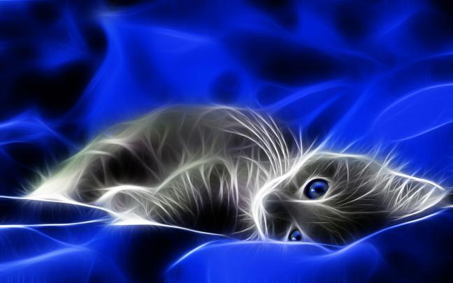 Best 31+ Animal Backgrounds That Move on HipWallpaper | Remove 