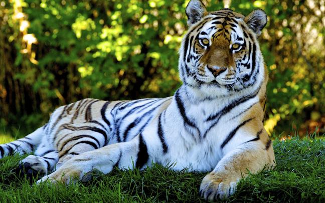 HD Wallpapers, HD Desktop Wallpapers: Nature HD Wallpapers