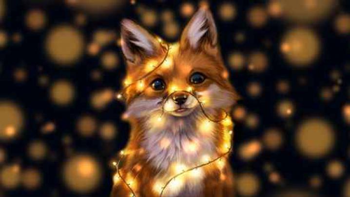 Super Cute Fox in Lights - Live Windows Desktop - Live Desktop Wallpapers