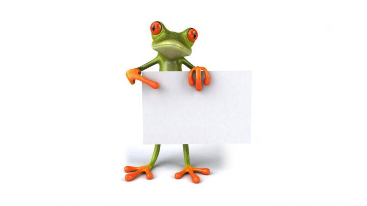 Pictures HD: Funny cartoon animals 3D wallpapers free download