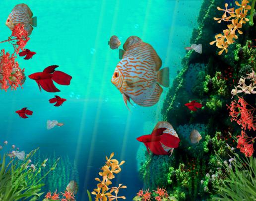 Download Coral Reef Aquarium 3D Screensaver DEMO | Screensavergift.com