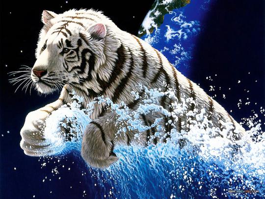 Animated Wallpapers | Free Wallpapers