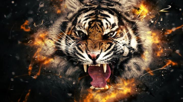 Tigger Wallpaper and Screensavers (79+ images)