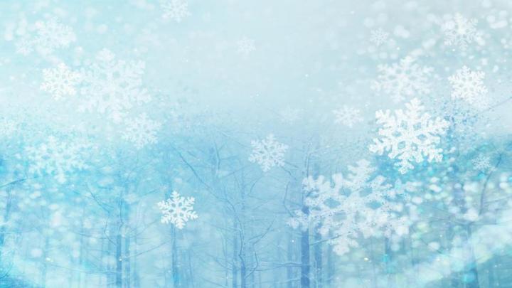 Free download Snow Background wallpaper 1920x1080 84231 [1920x1080] for 