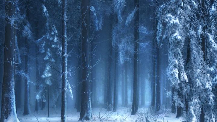 Falling Snow Animated Wallpaper (57+ images)