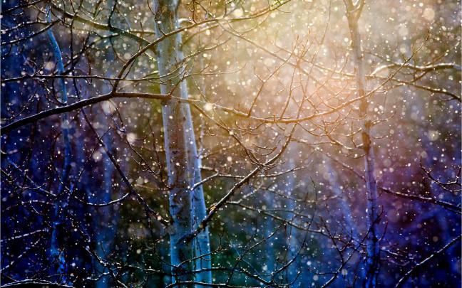 Animated Snow Falling Wallpaper (60+ images)