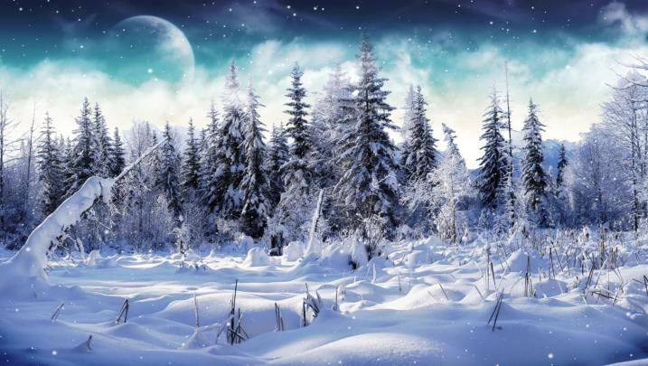 Cold Winter Screensaver - Animated Wallpaper Torrent Download