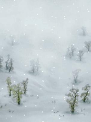 Download Snow Falling Animated Mobile Wallpaper - Mobile Wallpapers 