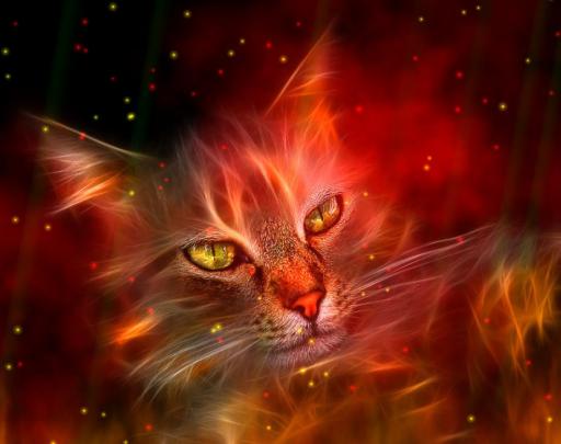 Download Fire Element Animated Wallpaper