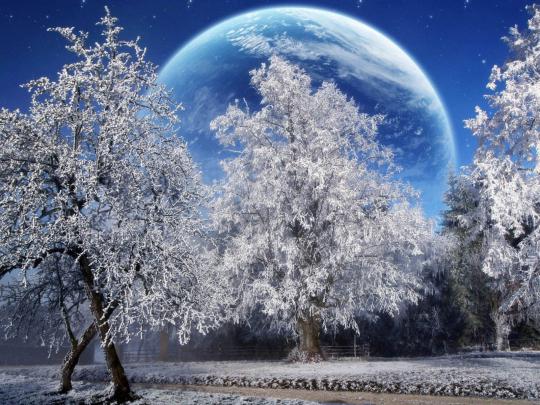 Snow Falling Wallpapers Free Download Snow Fall Animated Wallpaper