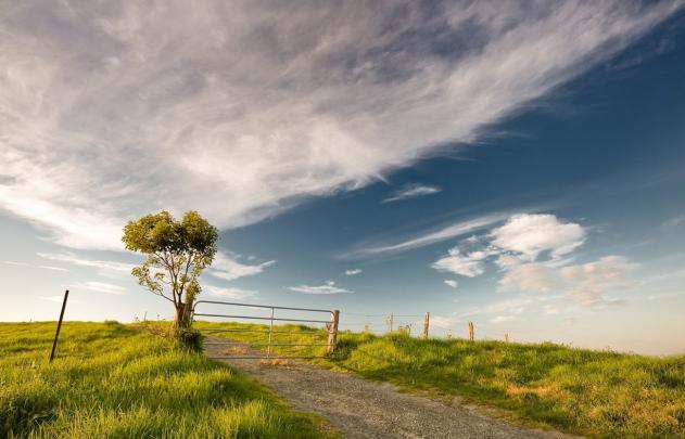 Free Desktop Wallpaper Animated -