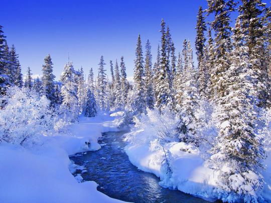 wallpapers: Snow Wallpapers