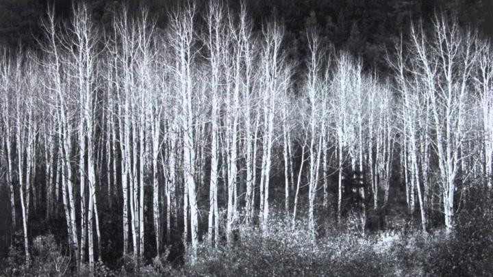 Ansel Adams Wallpapers HD