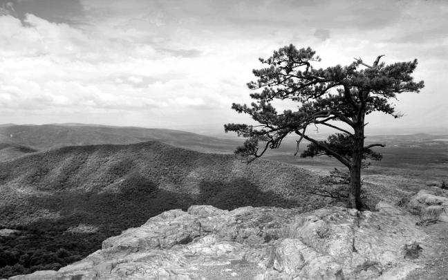 Ansel Adams Wallpapers