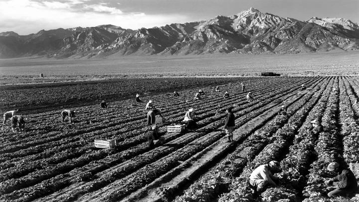 Ansel Adams Wallpapers HD