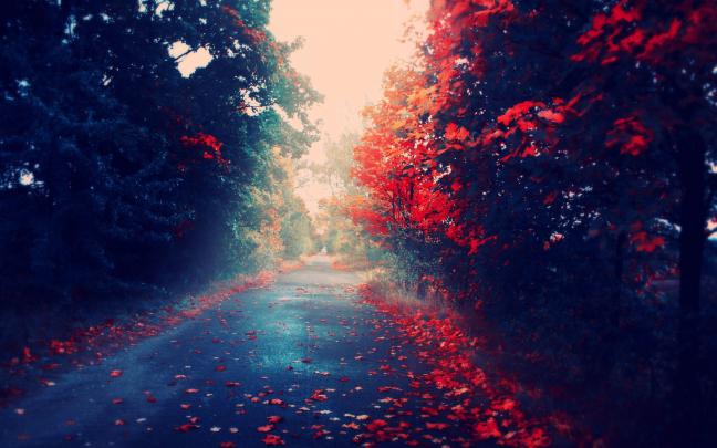 HD Nature Wallpapers For Mac