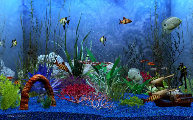 Aquarium HD Wallpapers