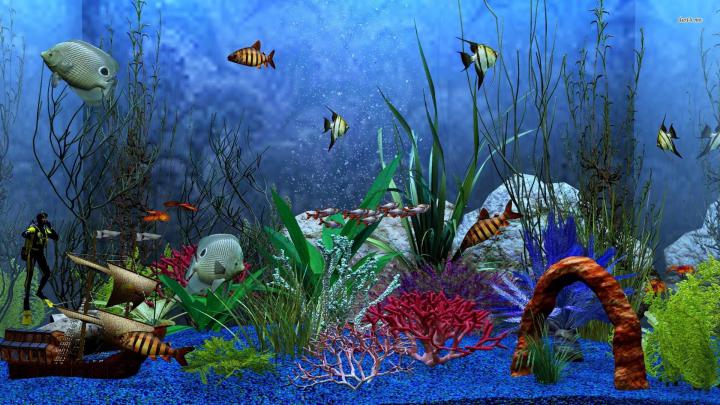 Aquarium Wallpapers