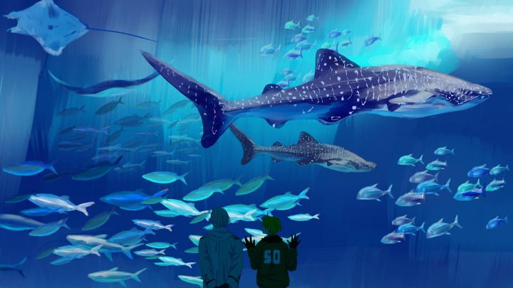 Free Download Aquarium Wallpapers