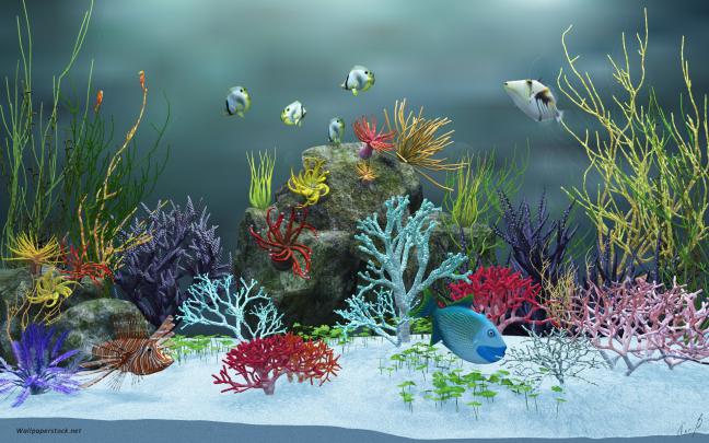[48+] Animated Fish Aquarium Desktop Wallpapers 