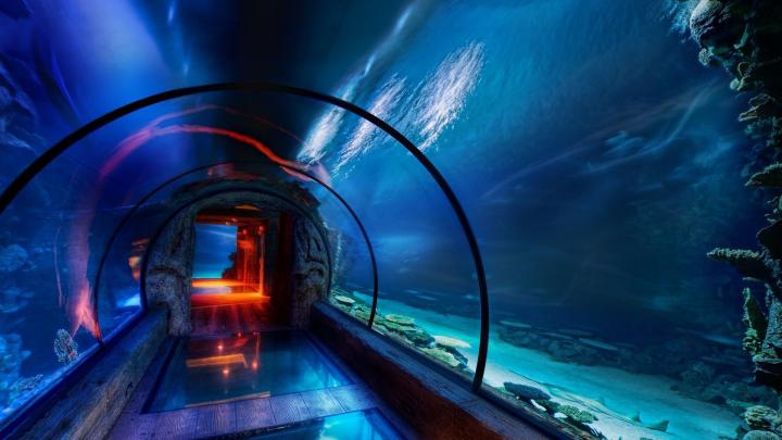 Aquarium HD Wallpapers