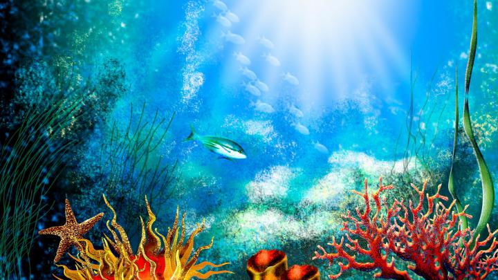 Desktop Aquarium HD Wallpaper ~ The Wallpaper Database