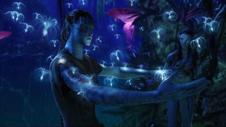 Avatar Backgrounds