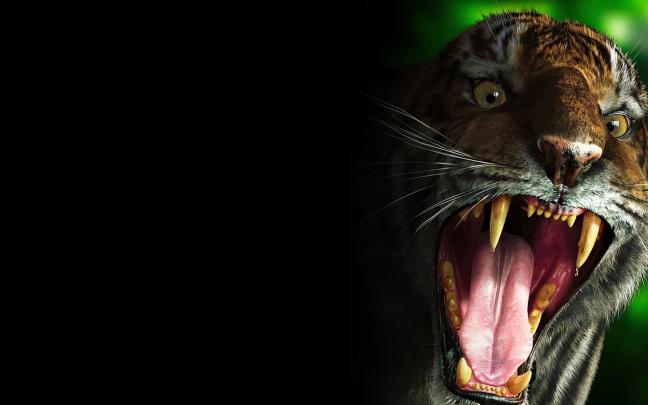Free download Wallpaper 1920x1080 Tiger Teeth Scary Evil Full HD 1080p 