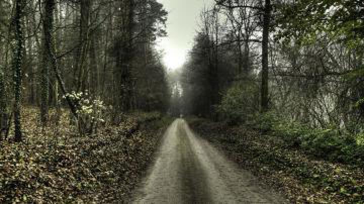 Free download ages jonasdero deviantart com jonasdero dark horror scary 