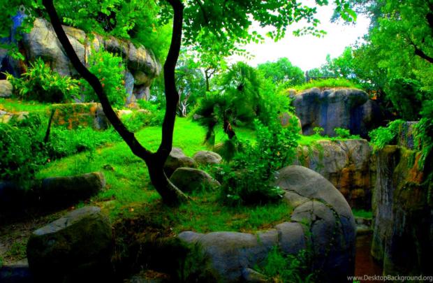 Green Abstract 1080P Skyrim Wallpaper | Wallpapers Every Day
