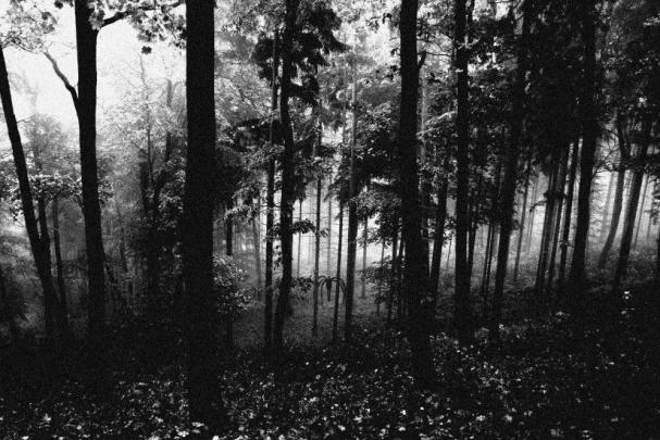 Slender Man Wallpaper \u00b7\u2460 