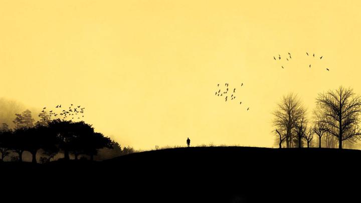 Tree Man Wallpapers - Top Free Tree Man Backgrounds - WallpaperAccess