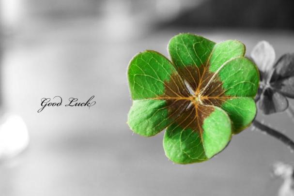 St Patricks Day wallpaper \u00b7\u2460 Download free amazing HD wallpapers for 