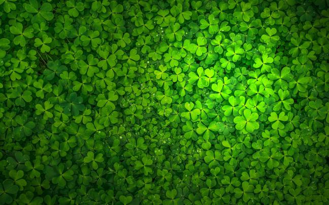 St Patricks Day Wallpaper 1920X1080 \/ Free download St Patricks Day 