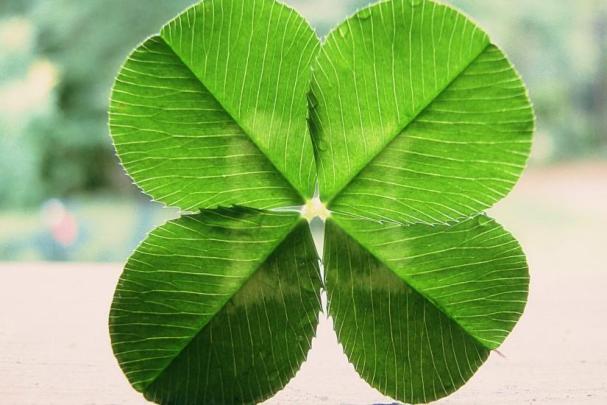 St Patricks Day wallpaper \u00b7\u2460 Download free amazing HD wallpapers for 