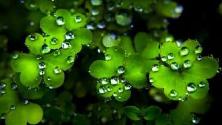 Free download Download happy st patricks day HD wallpaper [1920x1080 