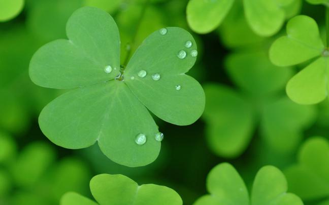 St Patricks Day wallpaper \u00b7\u2460 Download free amazing HD wallpapers for 