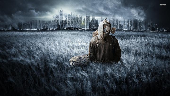 Stalker Wallpaper (70+ images)