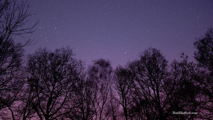 Stars Wallpaper