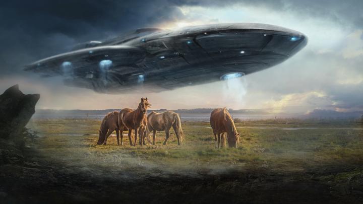 photo manipulation, Spaceship, Horse, Stellaris Wallpapers HD \/ Desktop 