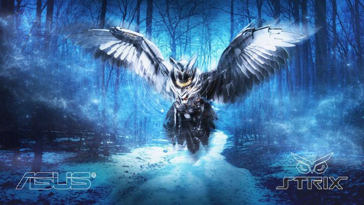 Asus Strix 4K Wallpapers - Top Free Asus Strix 4K Backgrounds 