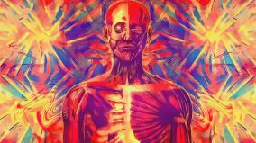 Anatomy Desktop Wallpaper