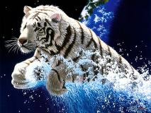 Animated Animal Wallpaper Desktop