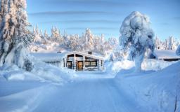 Animated Snow Desktop Wallpaper Free Download