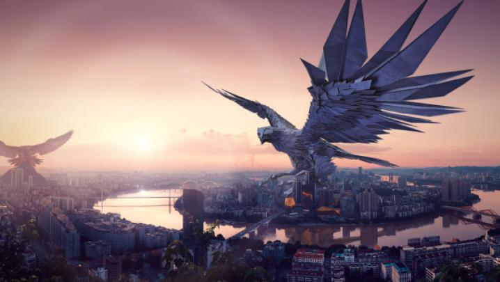 The falcon, protector of the city | HD desktop image 1920x1080, 4K 