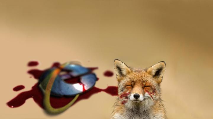 Res: 1920x1080, | Animal wallpaper, Pet fox, Wallpaper