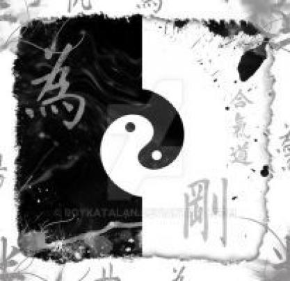 DESKTOP BACKGROUND AIKIDO by roykatalan on DeviantArt | Backgrounds 