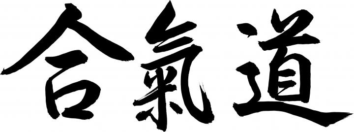 Free download Aikido Wallpapers High Quality Download [9092x3386] for 