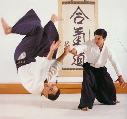 Aikido Wallpapers High Quality | Download Free