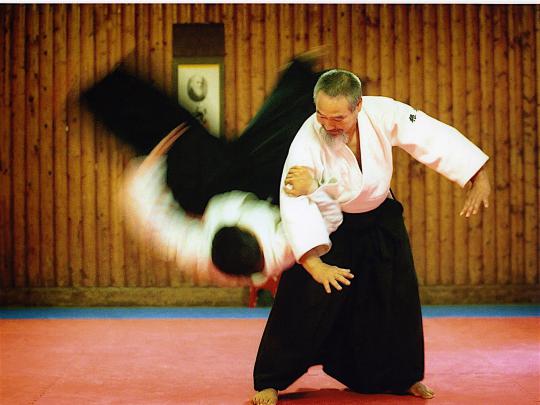 Aikido Wallpaper (63+ images)